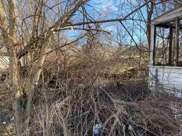 Testing again(11).jpg